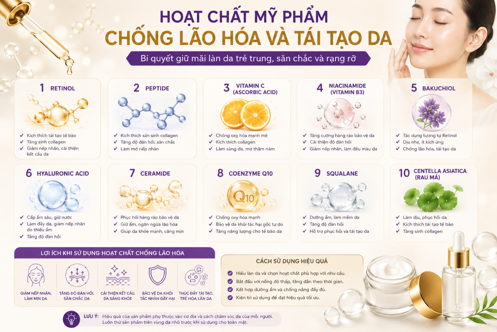 hoạt chất mỹ phẩm chống lão háo và tái tạo làn da, chị em cần phải biết 