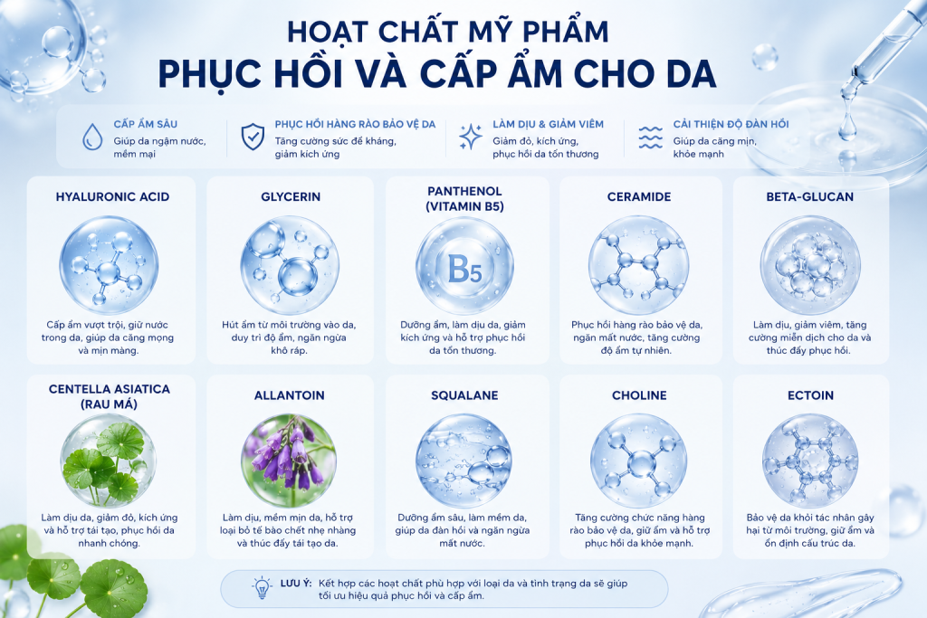 hoạt chất mỹ phẩm phục hồi và cấp ẩm cho da, các chị em nên biết để da căng bóng