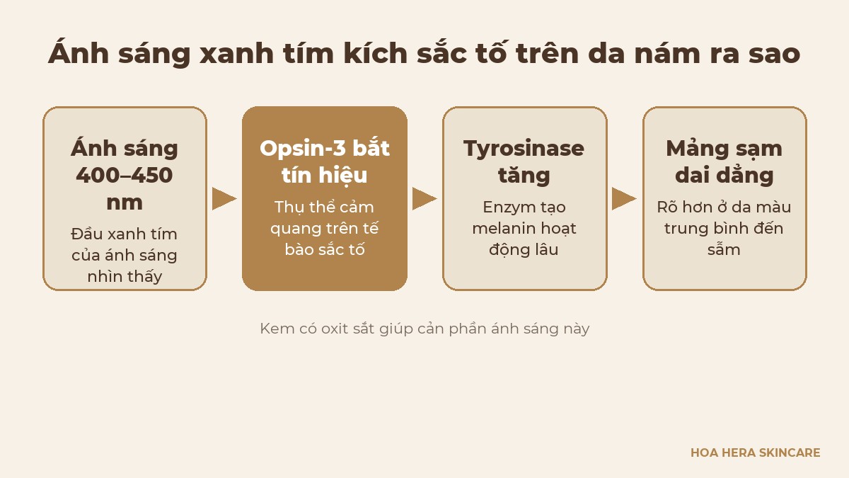 Sơ đồ chuỗi ánh sáng xanh tím kích hoạt opsin-3, tăng tyrosinase và tạo mảng sạm dai dẳng trên da nám